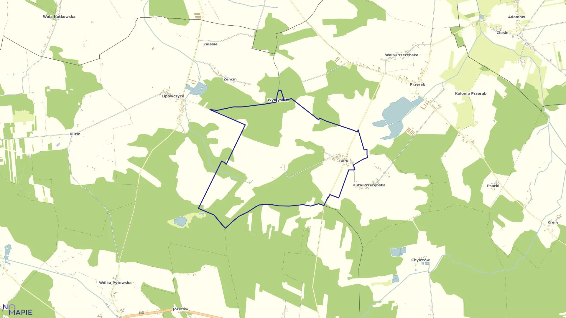Mapa obrębu BORKI w gminie Masłowice